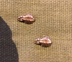 SET OF 2 BRONZE OAK LEAF CLUSTER RIBBON OR MEDAL ATTACHMENTS - Picture 1 of 1