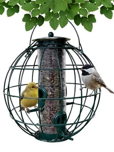 Alimentador de semillas enjaulado Backyard Essentials Orb para aves silvestres - Alimentador de tubo pequeño - Imagen 1 de 9