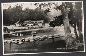 Postcard Welwyn Hertfordshire pub The Clock and Beehives RP by Catling - Picture 1 of 2