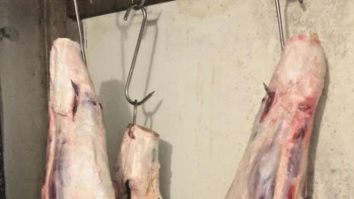 BRANDED 10" Meat Hooks 8mm Heavy Duty S-Hooks Stainless Steel Meat Processing Butcher