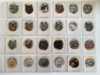 Players Cigarette Cards Cats (Large)    Full Set (24)   1936 - Image 1 of 4