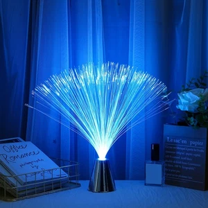 LED Night Light Fiber Optic Lantern Colorful Color-changing Fiber Optic Lamp - Bild 1 von 12