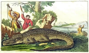 1790ca PESCA Y CAZA - Grabado coloreado a mano con passepartout (00013) - Imagen 1 de 3