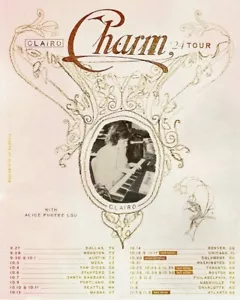 Poster 2024, Clairo - North American Charm Tour 2024 Poster, Home Decor - Picture 1 of 7