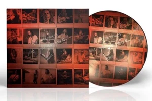 Chris Cornell – No One Sings Like You Anymore Picture disc - New/Sealed - Picture 1 of 1