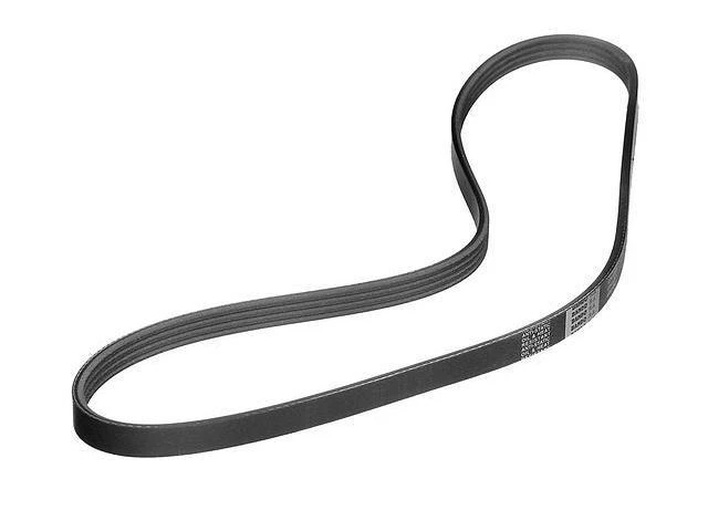 Cinturón multi costilla para Honda Accord 2000 1997 1994-2002 1996 1995 2001 1998 ZH692KS Foto 1 de 1