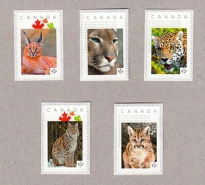 JAGUAR = PUMA = LYNX = Cats = set 5 picture postage MNH Canada 2016 [p16/05wc5] - Picture 1 of 2