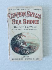 c.1865 Rev J.G. Wood Common Shells of the Sea Shore F. Warne