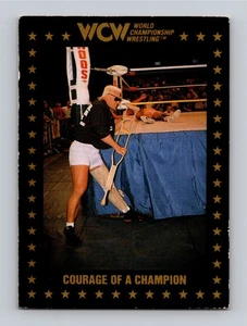 Sting 1991 Championship Marketing WCW Courage of a Champion #87 HOF EX-NM - Picture 1 of 2