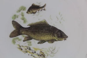 Limoges Fish Series Dinner Plate Catfish - Picture 1 of 8