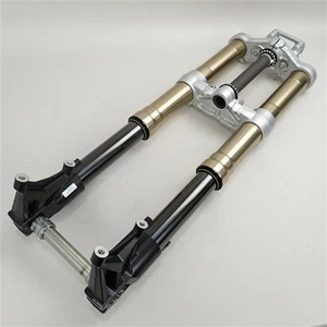 Genuine DUCATI Hypermotard 1100S Inverted Front Fork Set - Picture 1 of 12
