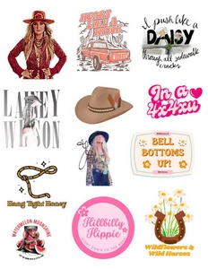 Lainey Wilson Country Music Stickers - Picture 1 of 1