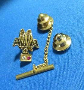 AMERICAN AIRLINES EMPLOYEE SERVICE Award PIN DIAMOND RUBY - Picture 1 of 2