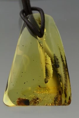 SPIDER & WASP 正品波罗的海琥珀可调节皮革弦吊坠 11.9 克 114-7 — 第 1/4 张图片