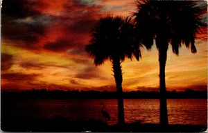 Beautiful Florida Sunset L-48 Vintage Postcard - Picture 1 of 2