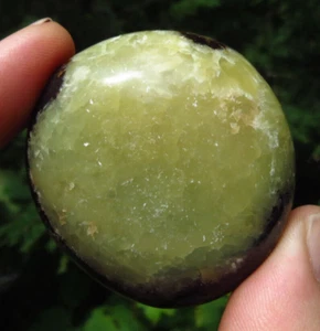 SEPTARIAN POLISHED CONFIDENCE GROUNDING PROTECTION CRYSTAL PALMSTONE MADAGASCAR - Picture 1 of 6