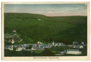 AK Neuwied-Oberbieber,Totale,Koloriert 1928 - Bild 1 von 2