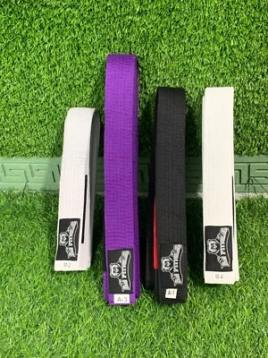 Cinturón Ben Jiu Jitsu 10 Cinturones 100.00$ Foto 1 de 4