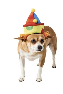 Chapéu palhaço animal de estimação Halloween chapéu palhaço cachorro show chapéu de aniversário acessório médio/grande - Imagem 1 de 2