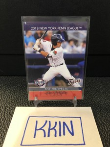 Sam McMillan 2018 Choice New York-Penn League Top Prospects Tigers