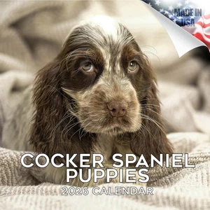 COCKER SPANIEL PUPPIES Wall Calendar 2026 Animal DOG PET Lover Gift - Picture 1 of 2