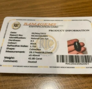 42.80 Ct Natural Brazilian Black Cats Eye Cab Shape Certified Gemstone & Gift - Picture 1 of 3