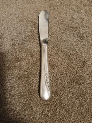 Cuchillo de mantequilla de acero inoxidable International Sterling Silver Blossom Time Foto 1 de 2