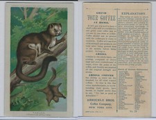 K1 Arbuckle Coffee, Animals, 1890, #29 Taguan