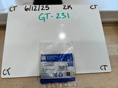 Kit de junta tórica de inyección de combustible multipuerto GM/ACDelco 12570621 Foto 1 de 3