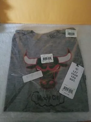 Chicago Bulls Large, Grey Windy City, Womens.  47 Brand, Vintage NWT. - Image 1 of 4