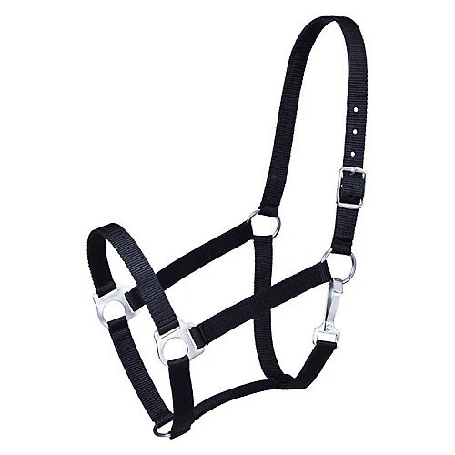 Soporte económico Tough1 Foto 1 de 1