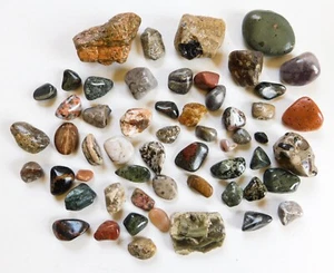 Hübsche Michigan Felsen Steine Pudding Hornstein Fossilien Lot 8 - Bild 1 von 5