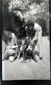 Vintage 1946 B & W Film Negative 2 Ladies 2 Boxer Dogs Bronxville NY. - Picture 1 of 3