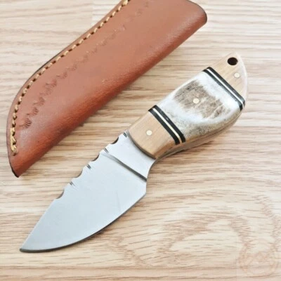 Steel Stag Fixed Knife 2.5" Stainless Steel Full Blade Stag Bone / Wood Handle - Image 1 of 4