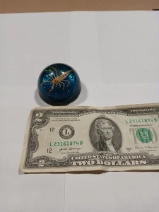 Vintage Skorpion in Plexiglas blau mit grauem Filzsockel Insekt - Bild 1 von 13