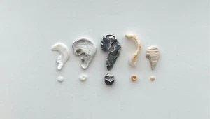 Natural 5 ? Question Mark Shaped Beach Shell Frag Pebble Letter craft art ????? - Picture 1 of 10