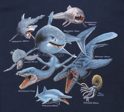 Camiseta MONSTERS OF THE DEEP-Extinct Aquatic Sea Megalodon Mosasaur Niño XS-L NUEVA Foto 1 de 2