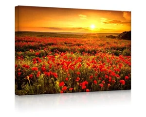 Beleuchtetes Bild LED Leuchtbild - Mohnblütenfeld bei Sonnenuntergang - Bild 1 von 8