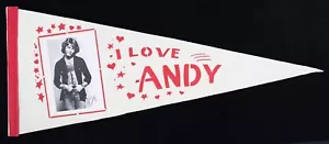 1970s Andy Gibb "I Love Andy" Full Size Photo Pennant - Picture 1 of 1