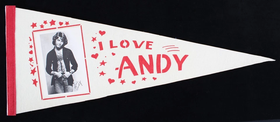 1970s Andy Gibb "I Love Andy" Full Size Photo Pennant - Image 1 of 1