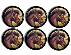 Antique Horse Art Knobs Western Cabinet Handle Vintage Equestrian Drawer Pulls - Picture 1 of 8