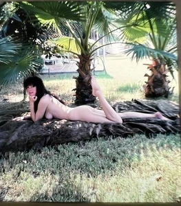 3D Stereo Realist Vintage Nude Pinup Model 5 - Picture 1 of 2