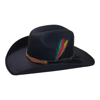 Niño Vaquero Niños con Ala Corta Sombrero Negro Color Talla 6 3/8 y 6 3/4 con Pluma Foto 1 de 4