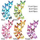 Wings Home Decoration Wall Art PVC Mural Butterly Wall Sticker 3D Decals