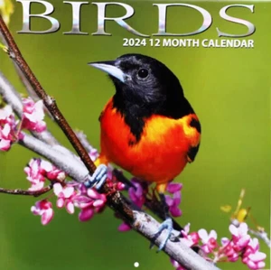 CALENDARIO DE PARED - PÁJAROS COLECCIONABLES 2024 12X12 CARDENALES- LOROS-THRASHER-ORIOLES - Imagen 1 de 2