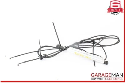 12-20 Mercedes R172 SLC43 AMG Trasero Izquierdo Convertible Maletero Asistente Cilindro Foto 1 de 4