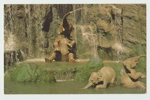 Disney, Jungle Cruise, Elephants - Picture 1 of 2