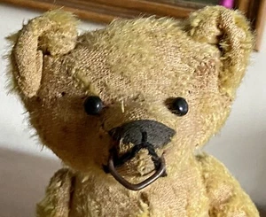 13 Zoll antiker MOHAIR TEDDYBÄR Stock Typ 5-FACH VERBUNDEN zerfetzelt muss gereinigt werden - Bild 1 von 14