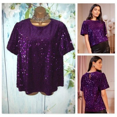 Next Love & Roses Top de Terciopelo Lentejuelas Púrpura Talla 18 Fiesta Noche Navidad Foto 1 de 4