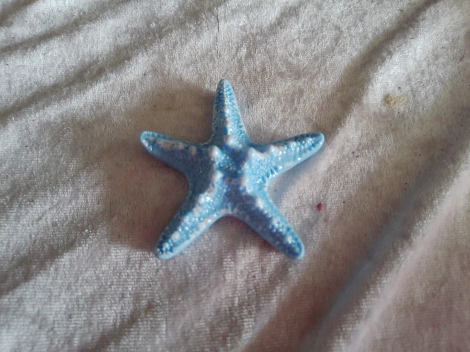 Deko-Figur/Seestern/neu/türkis - Bild 1 von 4